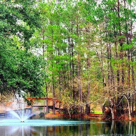 Waterfront Houston Hide Out In A Magical Forest Waller Buitenkant foto