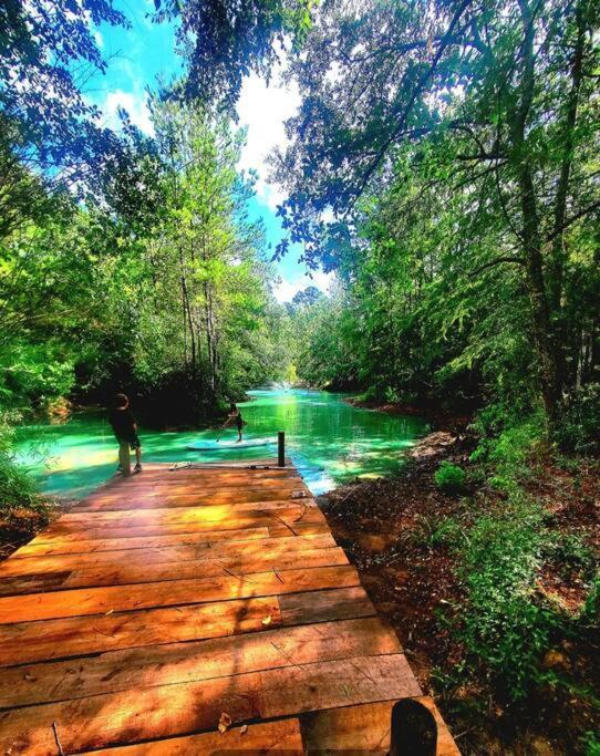Waterfront Houston Hide Out In A Magical Forest Waller Buitenkant foto